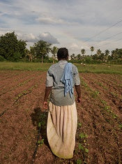 FARMING